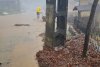 Inundaţii devastatoare în Gorj. Un sat a fost distrus de viituri | ANM a emis cod portocaliu pentru alte două judeţe din ţară 771546