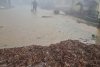 Inundaţii devastatoare în Gorj. Un sat a fost distrus de viituri | ANM a emis cod portocaliu pentru alte două judeţe din ţară 771550