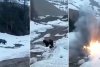 Un urs care căuta hrană a fost aruncat în aer cu explozibil de mineri sadici, în Rusia | Ce riscă făptașii 772799