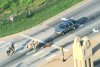 O vacă scăpată pe autostradă, printre mașini, a fost prinsă după o cursă dramatică de doi bărbați călare, cu lasoul. S-a întâmplat în SUA 773160