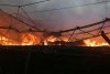 Incendiu major în Buzău! S-a transmis mesaj RO-Alert | Prefectul județului: "Sunt în contact cu Raed Arafat. Am cerut resurse suplimentare" 774810
