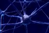 Asta îți macină creierul. Prof. dr. Vlad Ciurea: ”Celulele nervoase scad”. Cum ajuți creierul să funcționeze mai bine 776861