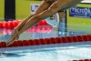 Aur pentru România la ștafetă, la Campionatele Europene de înot pentru Juniori 777372
