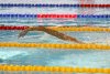 Aur pentru România la ștafetă, la Campionatele Europene de înot pentru Juniori 777373