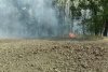 Incendiu violent de vegetaţie în Vrancea 777554