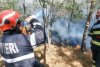 Incendiu violent de vegetaţie în Vrancea 777556