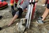 O femeie a fost muşcată de o viperă în munţii Făgăraş, după ce a făcut o greșeală banală 778074