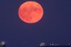 Imagini spectaculoase cu Superluna. Fenomenul rar imortalizat la răsărit 779290