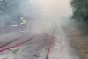 Incendii majore în Grecia. Pompierii români intervin în Nord-Estul Atenei 779996