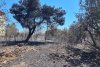 Imagini apocaliptice din regiunea Penteli din Grecia, devastată de incendiile de vegetaţie 780643