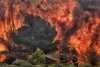 Concediile din Grecia sunt sub semnul focului! Echipa Antena 3 a surprins imaginile dezastrului din staţiunile turistice  781200
