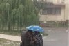 Un bărbat şi-a protejat cei doi cai cu umbrela, de o ploaie torenţială în Piteşti. A stat aşa minute în şir, pentru a calma animalele 782480