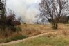 Incendiu puternic în Parcul IOR din București 782520