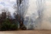 Incendiu puternic în Parcul IOR din București 782522