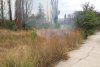 Incendiu puternic în Parcul IOR din București 782523