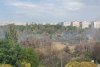 Incendiu puternic în Parcul IOR din București 782524