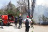 Incendiu puternic în Parcul IOR din București 782527
