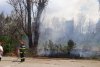 Incendiu puternic în Parcul IOR din București 782528