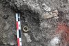Morminte din epoca bronzului, vechi de 5000 de ani, descoperite lângă Ploiești. Unul dintre ele conține osemintele unui bebeluș și un inel de buclă din aur 783408