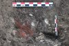 Morminte din epoca bronzului, vechi de 5000 de ani, descoperite lângă Ploiești. Unul dintre ele conține osemintele unui bebeluș și un inel de buclă din aur 783409