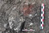 Morminte din epoca bronzului, vechi de 5000 de ani, descoperite lângă Ploiești. Unul dintre ele conține osemintele unui bebeluș și un inel de buclă din aur 783411