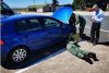 Un bărbat a demontat un Volkswagen Golf pentru a salva un pisoi rănit, în Anglia 784781