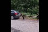 Un pui de urs "l-a ajutat" pe un șofer să pornească mașina, pe Trasfăgărășan | "Așa se întâmplă dacă rămâi fără motorină!" 786033