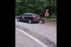 Un pui de urs "l-a ajutat" pe un șofer să pornească mașina, pe Trasfăgărășan | "Așa se întâmplă dacă rămâi fără motorină!" 786034