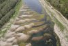 Imagini apocaliptice cu Dunărea secată, surprinse în județul Constanța 786876