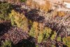 Protest la Chișinău față de prețurile și facturile uriașe | Oamenii cer demisia președintelui Maia Sandu 790183