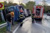 Un camion care transporta sute de oi s-a răsturnat pe DN 67, în Vâlcea 791042