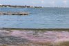 Fenomen bizar la Constanţa. Apa Lacului Techirghiol s-a colorat în roz. Ce spun experţii 794967
