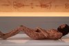 Cum arăta Iisus după răstignire: O sculptură expusă în Spania, realizată cu datele de la Giulgiul din Torino, surprinde toate detaliile 795614
