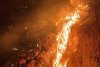 Incendiu violent în judeţul Prahova! 50 de hectare de vegetație ard la Tohani  796592