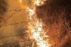 Incendiu violent în judeţul Prahova! 50 de hectare de vegetație ard la Tohani  796593