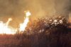 Incendiu violent în judeţul Prahova! 50 de hectare de vegetație ard la Tohani  796598