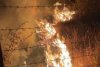 Incendiu violent în judeţul Prahova! 50 de hectare de vegetație ard la Tohani  796599