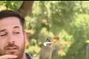 Momentul în care un papagal fură casca unui reporter din Chile 798426