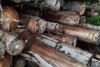 Zeci de metri cubi de lemne confiscate scoase la licitaţie de ANABI la preţul de 305 lei/mc 799554