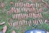 Zeci de cartușe din Al Doilea Război Mondial, găsite de un căutător de comori, lângă un teren de fotbal, în Sălaj 801374