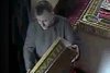 Obiectul neobișnuit cu care un preot a furat bani din cutia milei, în București 802694