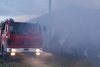 Incendiu la o fermă din Satu Mare: 9.000 de găini au murit carbonizate 804095