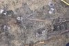 Războinic îngropat cu tot cu cal, descoperit pe şantierul Autostrăzii A7 Ploieşti-Buzău 806580