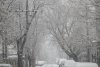 Fenomen meteo straniu. De ce a nins astăzi doar în anumite cartiere din București | Explicaţiile unui climatolog cunoscut 806855