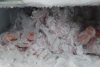 Carne mucegăită, gătită într-o bucătărie infectă la un cămin de bătrâni din Bistrița-Năsăud 811854