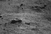 Agenția spațială din Beijing a publicat cele mai noi imagini de pe Lună. Ce apare în ele 812541