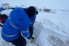 Iarna s-a instalat în România. Drumuri naţionale şi porturi închise din cauza ninsorii, zeci de maşini distruse, copaci și stâlpi rupți 813664