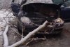Un copac a căzut peste o mașină în mers, în Reșița. Un băiat de 14 ani a murit 814996