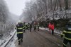 Un copac a căzut peste o mașină în mers, în Reșița. Un băiat de 14 ani a murit 814999