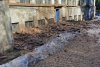 Acoperiș prăbușit parțial la Sanatoriul Marila din Oravița. Peste 60 de pacienți cu TBC și bolnavi cronic au fost evacuați 818511